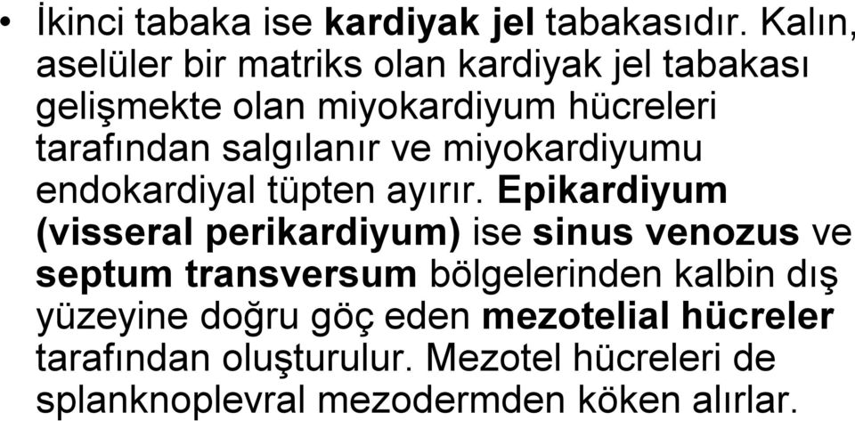 salgılanır ve miyokardiyumu endokardiyal tüpten ayırır.