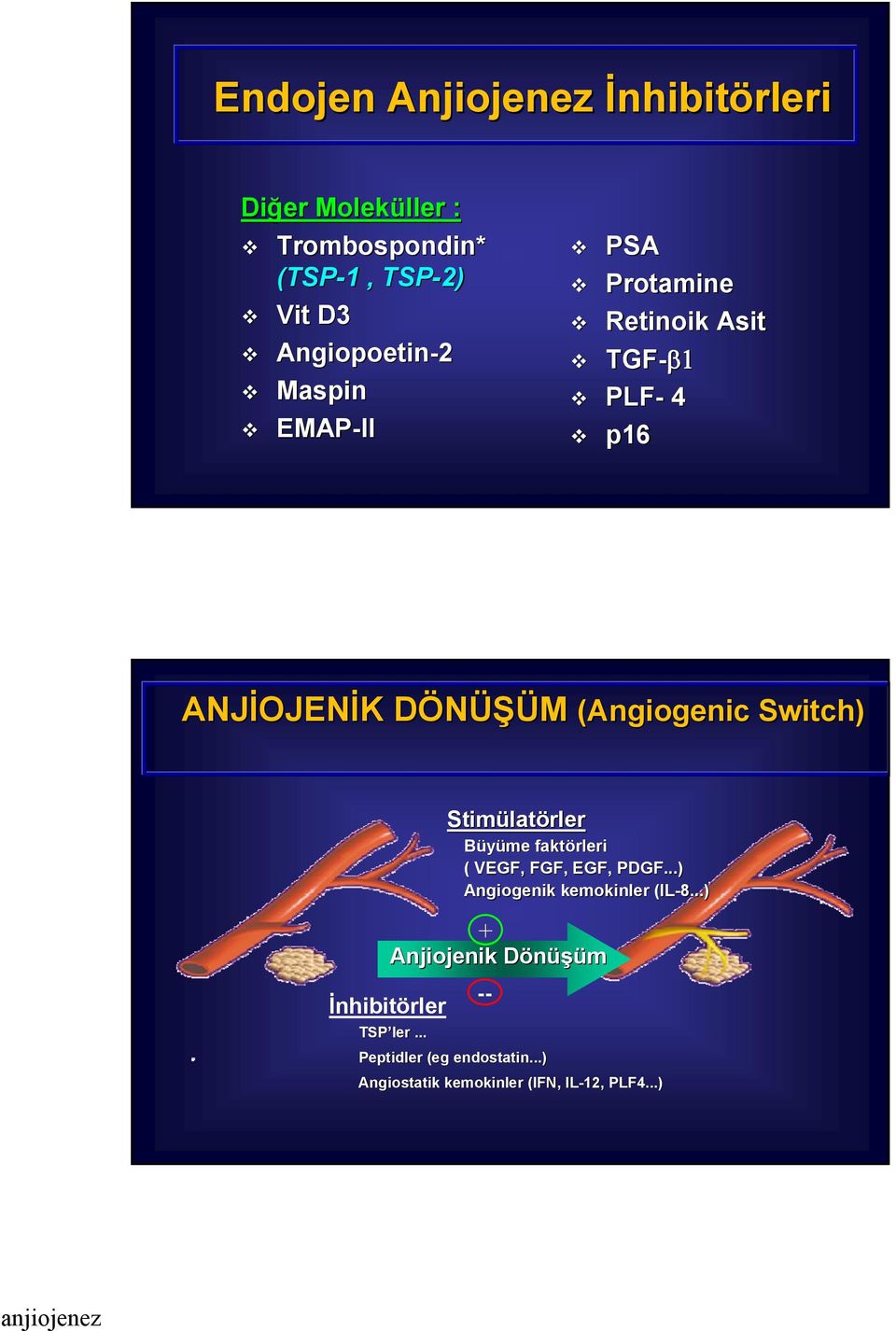 Büyüme faktörleri ( VEGF,, FGF, EGF, PDGF...) Angiogenik kemokinler (IL-8... 8.