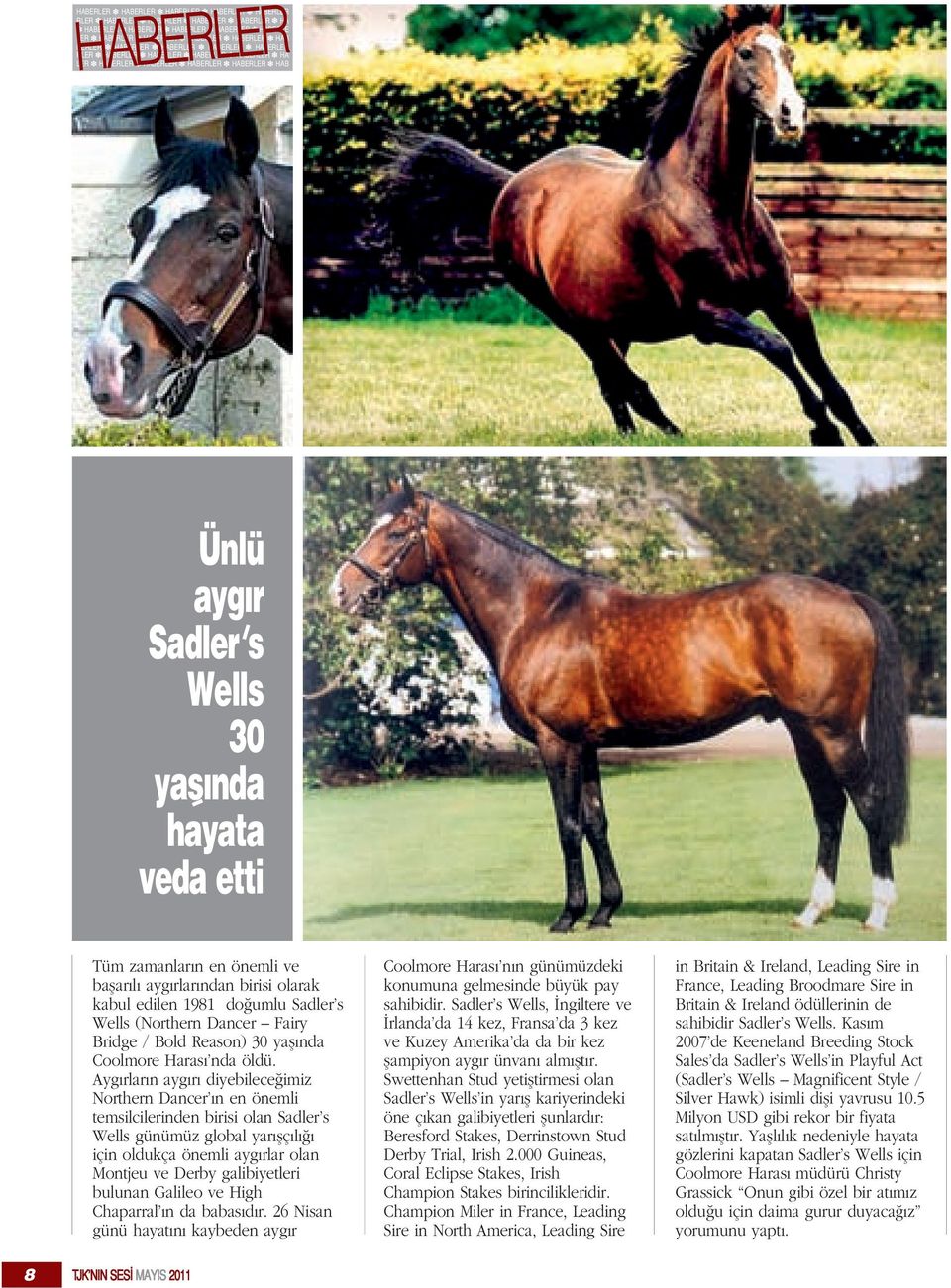 Sadler s Wells 30 yas nda hayata veda etti Tüm zamanlar n en önemli ve baflar l ayg rlar ndan birisi olarak kabul edilen 1981 do umlu Sadler s Wells (Northern Dancer Fairy Bridge / Bold Reason) 30