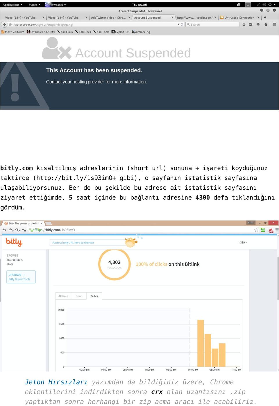 Ben de bu şekilde bu adrese ait istatistik sayfasını ziyaret ettiğimde, 5 saat içinde bu bağlantı adresine 4300 defa