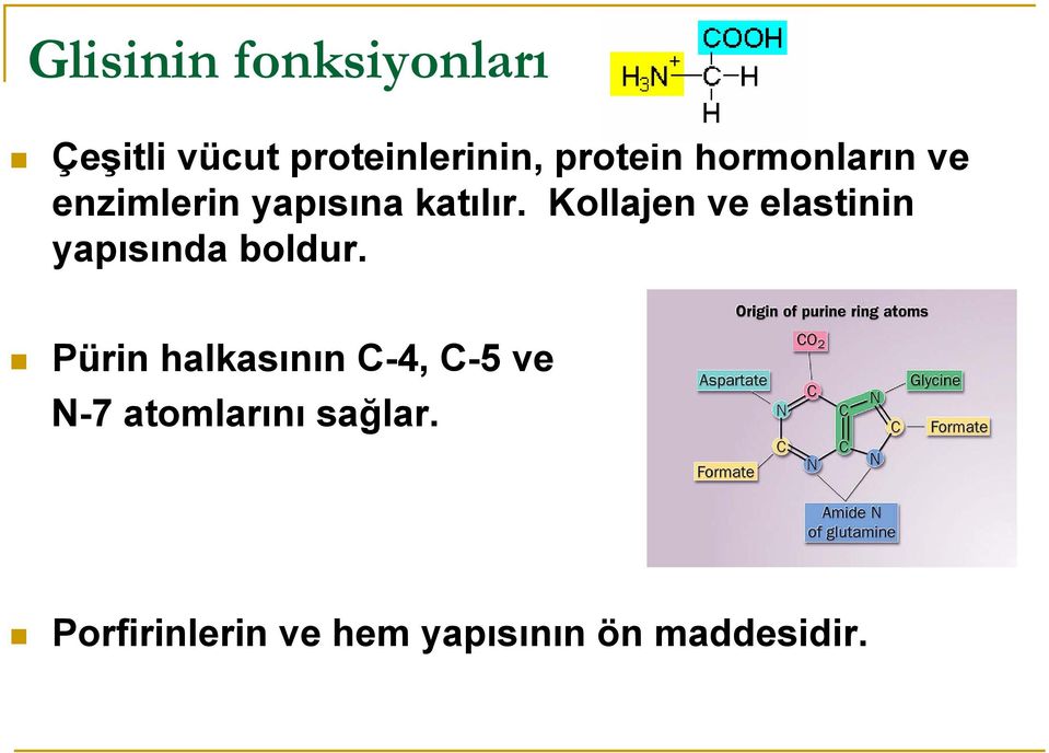 Kollajen ve elastinin yapısında boldur.