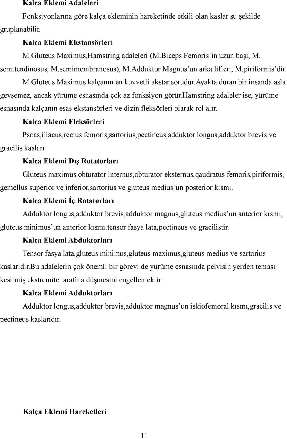 ayakta duran bir insanda asla gevşemez, ancak yürüme esnasında çok az fonksiyon görür.hamstring adaleler ise, yürüme esnasında kalçanın esas ekstansörleri ve dizin fleksörleri olarak rol alır.