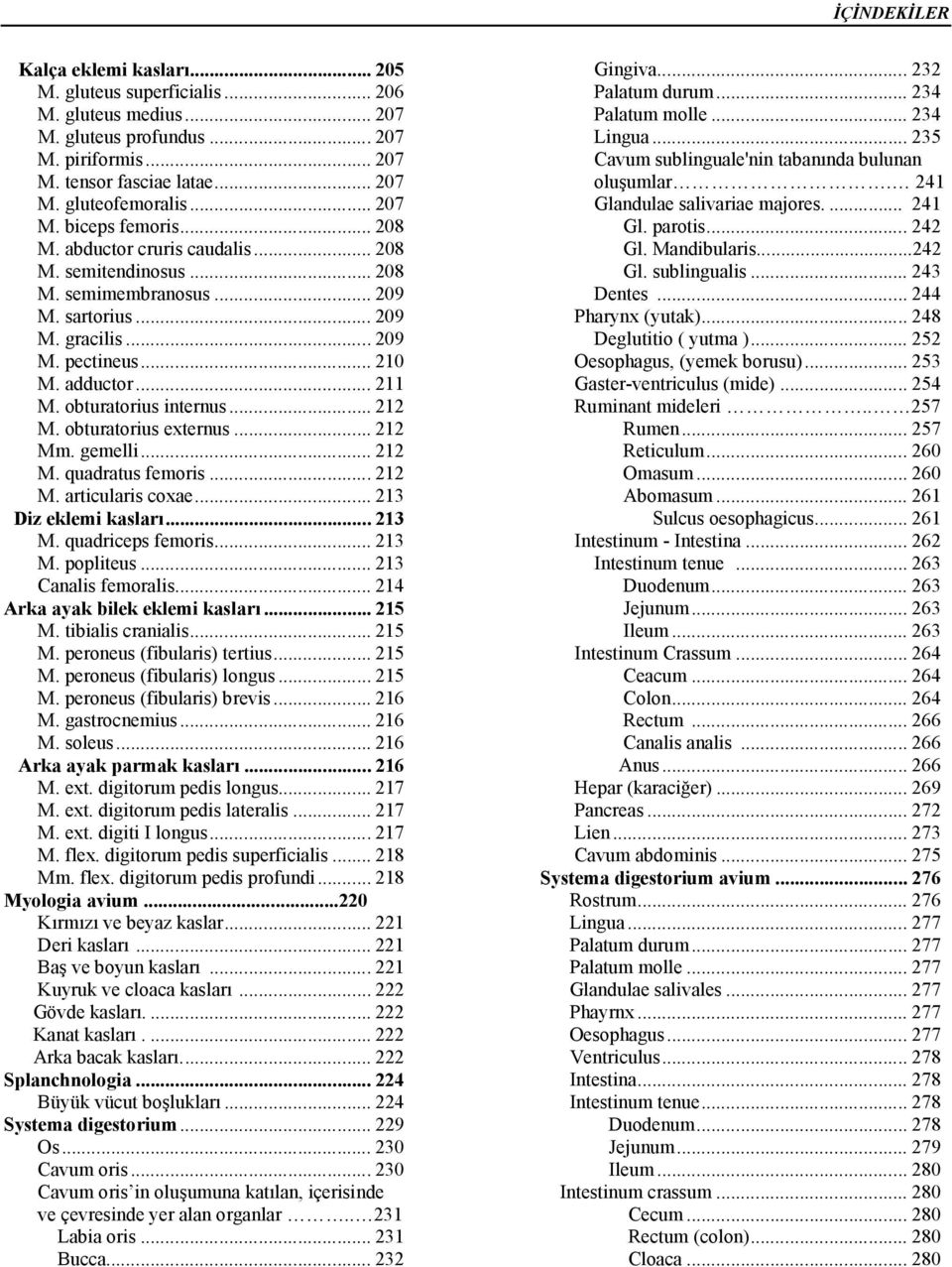 obturatorius internus... 212 M. obturatorius externus... 212 Mm. gemelli... 212 M. quadratus femoris... 212 M. articularis coxae... 213 Diz eklemi kasları... 213 M. quadriceps femoris... 213 M. popliteus.