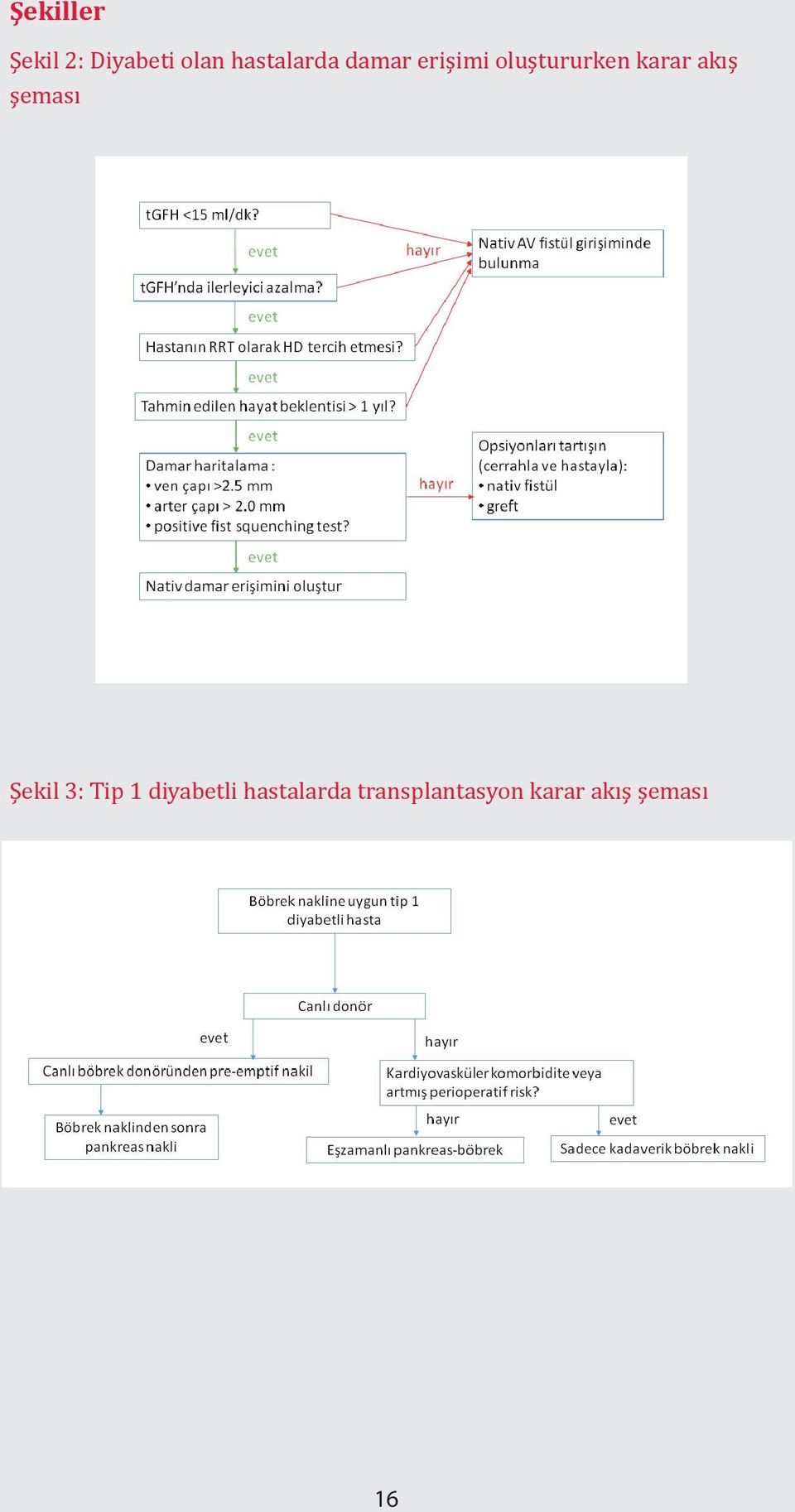 karar akıs s eması Şekil 3: Tip 1