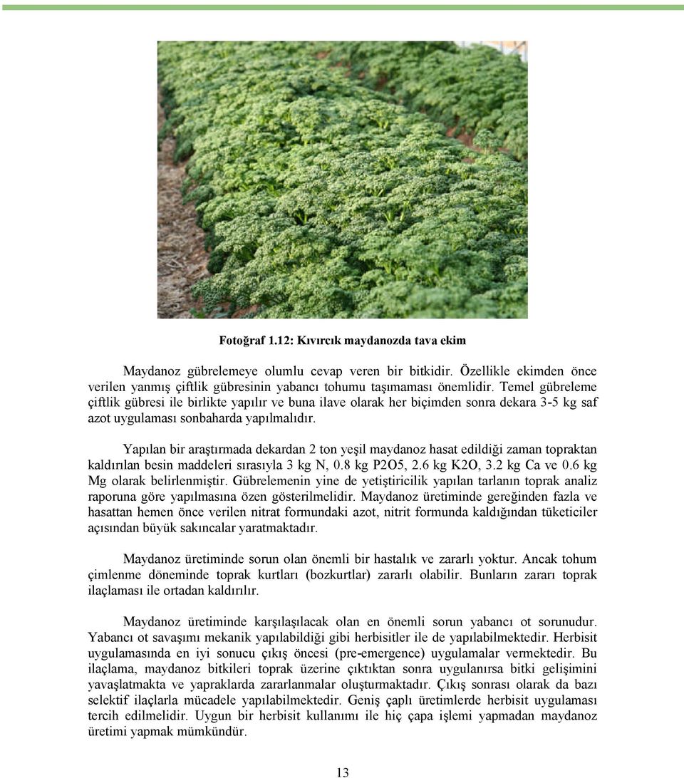 Yapılan bir araştırmada dekardan 2 ton yeşil maydanoz hasat edildiği zaman topraktan kaldırılan besin maddeleri sırasıyla 3 kg N, 0.8 kg P2O5, 2.6 kg K2O, 3.2 kg Ca ve 0.6 kg Mg olarak belirlenmiştir.
