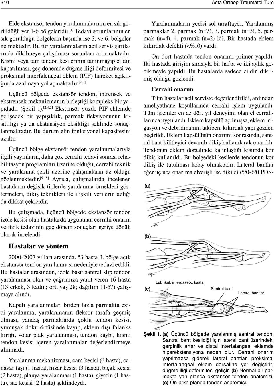 Kısmi veya tam tendon kesilerinin tanınmayıp cildin kapatılması, geç dönemde düğme iliği deformitesi ve proksimal interfalengeal eklem (PİF) hareket açıklığında azalmaya yol açmaktadır.