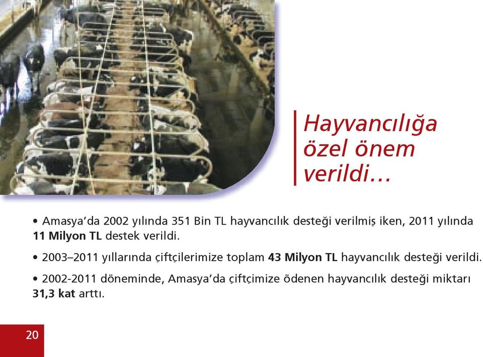 2003 2011 yıllarında çiftçilerimize toplam 43 Milyon TL hayvancılık desteği