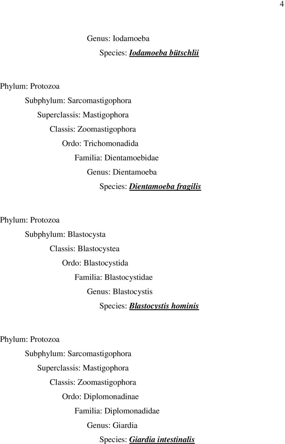 Blastocystea Ordo: Blastocystida Familia: Blastocystidae Genus: Blastocystis Species: Blastocystis hominis Phylum: Protozoa Subphylum: