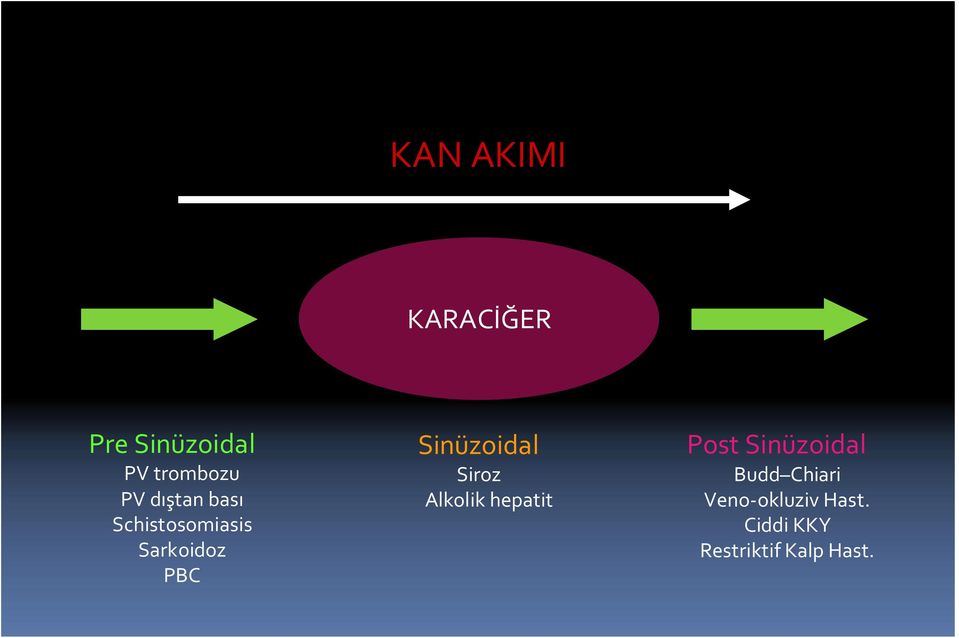 Sinüzoidal Siroz Alkolik hepatit Post Sinüzoidal