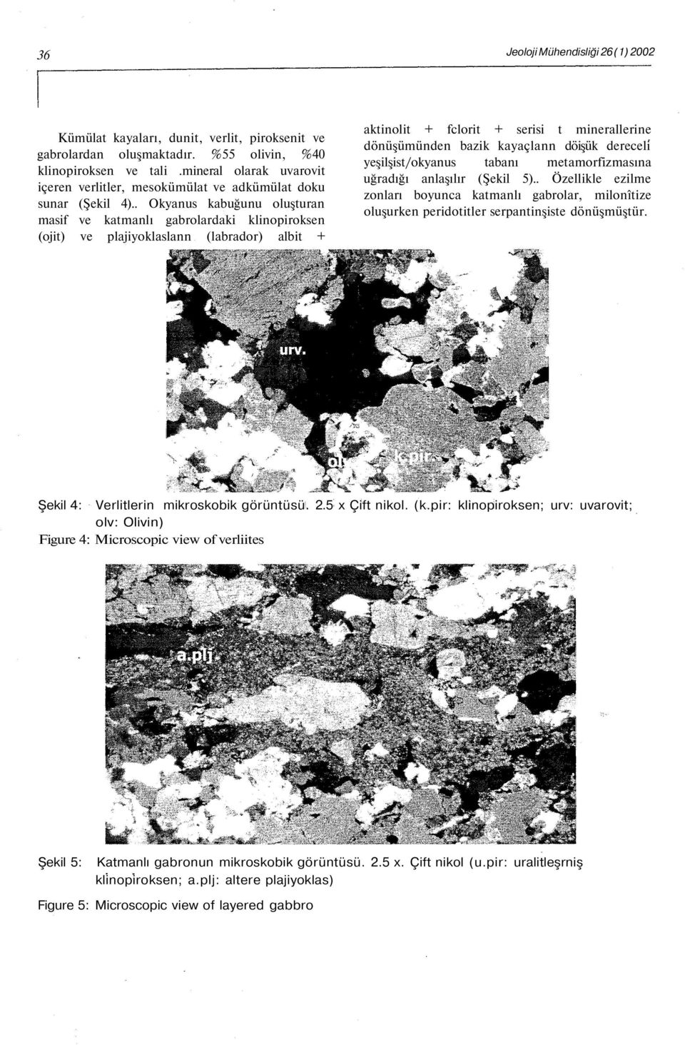 . Okyanus kabuğunu oluşturan masif ve katmanlı gabrolardaki klinopiroksen (ojit) ve plajiyoklaslann (labrador) albit + aktinolit + fclorit + serisi t minerallerine dönüşümünden bazik kayaçlann döişük