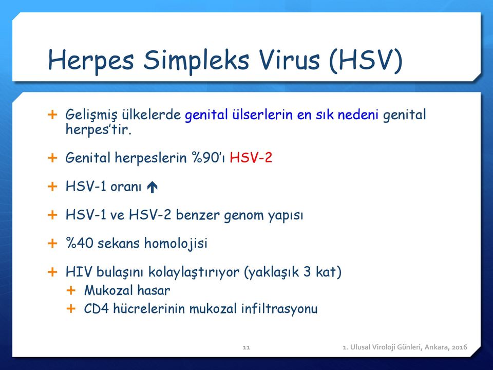 Genital herpeslerin %90 ı HSV-2 HSV-1 oranı HSV-1 ve HSV-2 benzer genom