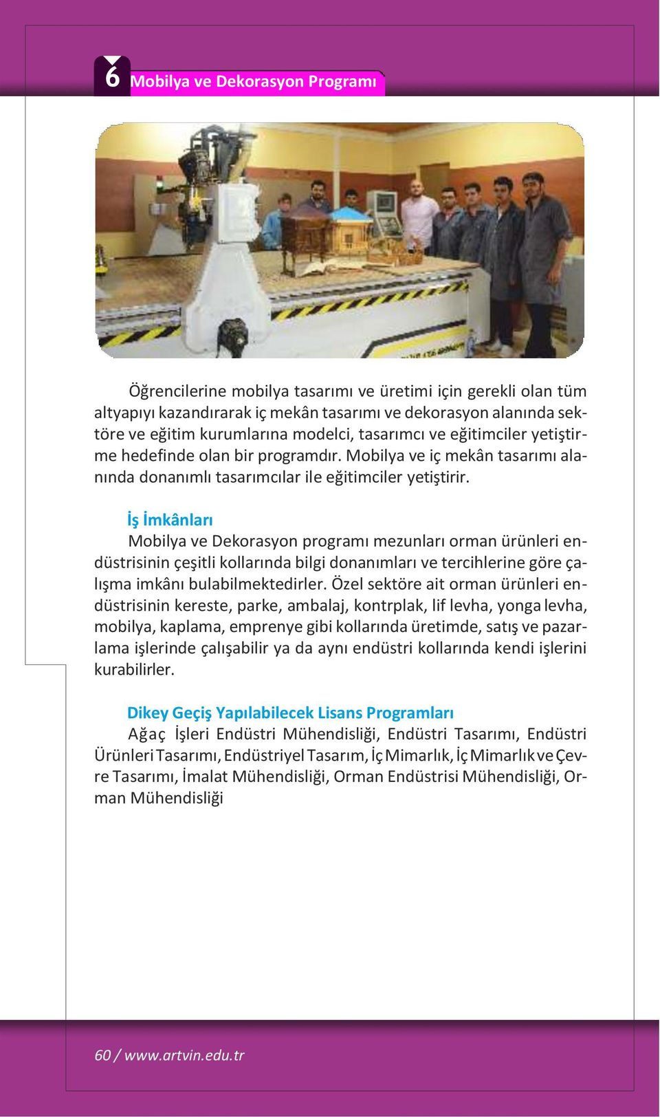 Mobilya ve Dekorasyon programı mezunları orman ürünleri endüstrisinin çeşitli kollarında bilgi donanımları ve tercihlerine göre çalışma imkânı bulabilmektedirler.