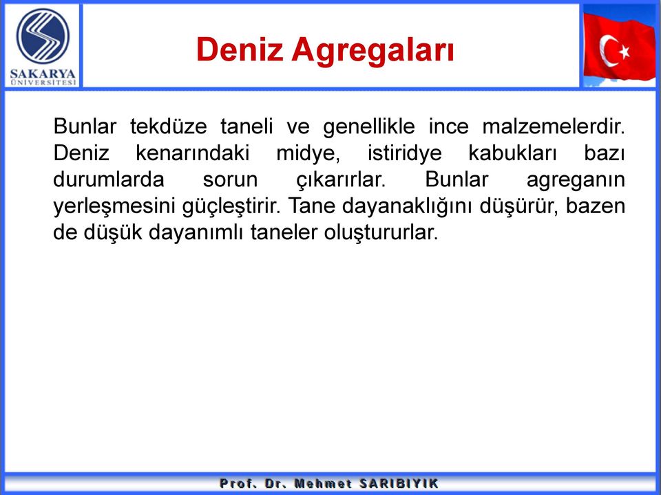 Deniz kenarındaki midye, istiridye kabukları bazı durumlarda sorun