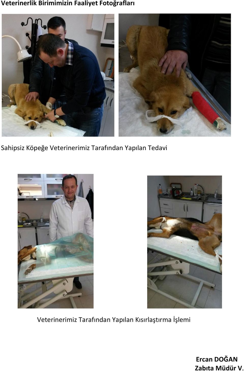 Tarafından Yapılan Tedavi Veterinerimiz