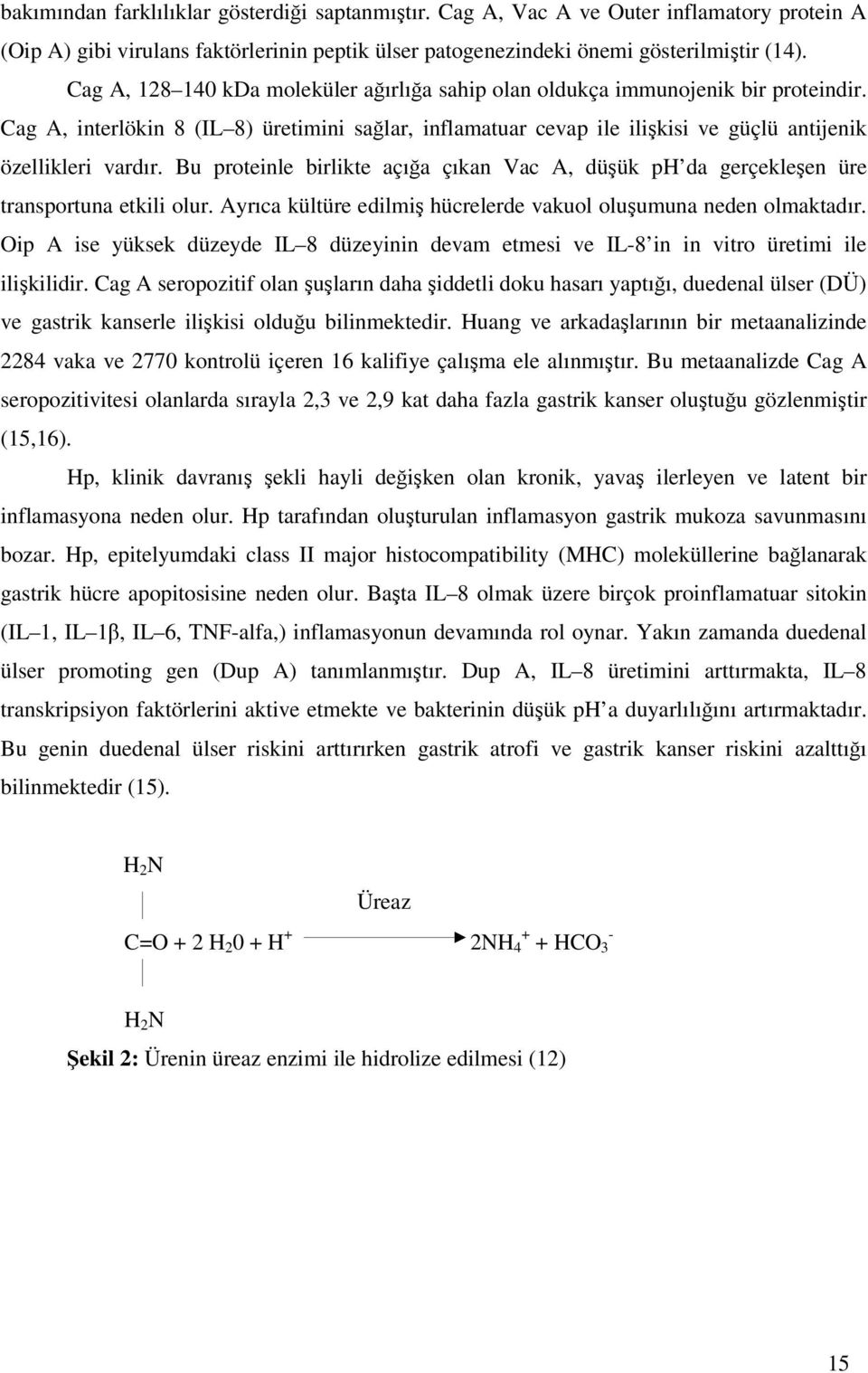 Bu proteinle birlikte açığa çıkan Vac A, düşük ph da gerçekleşen üre transportuna etkili olur. Ayrıca kültüre edilmiş hücrelerde vakuol oluşumuna neden olmaktadır.