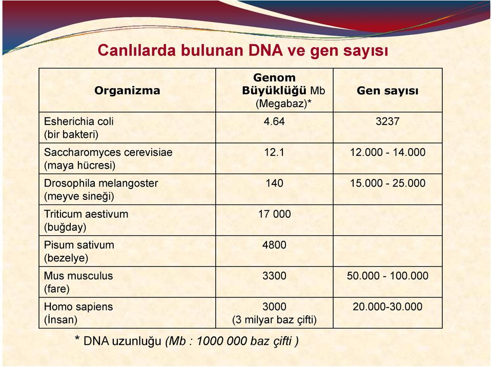 000-25.000 (meyve sineği) Triticum aestivum (buğday) Pisum sativum (bezelye) 17 000 4800 Mus musculus 3300 50.