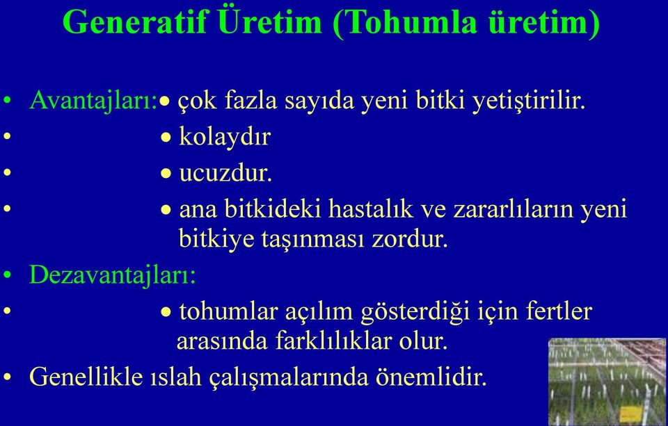 ana bitkideki hastalık ve zararlıların yeni bitkiye taşınması zordur.