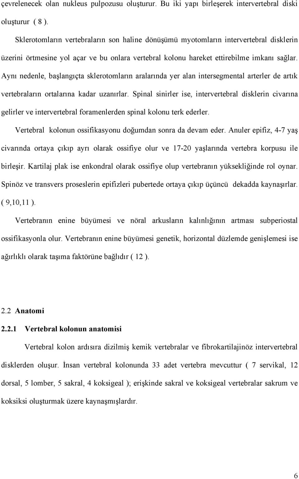 Aynı nedenle, başlangıçta sklerotomların aralarında yer alan intersegmental arterler de artık vertebraların ortalarına kadar uzanırlar.