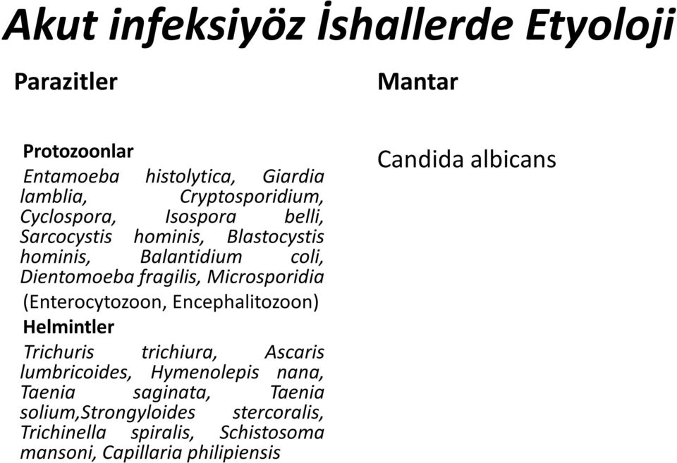 Microsporidia (Enterocytozoon, Encephalitozoon) Helmintler Trichuris trichiura, Ascaris lumbricoides, Hymenolepis nana,