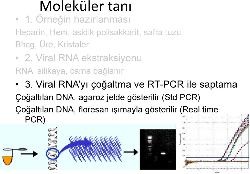 Kristaler 2. Viral RNA ekstraksiyonu RNA silikaya, cama bağlanır 3.