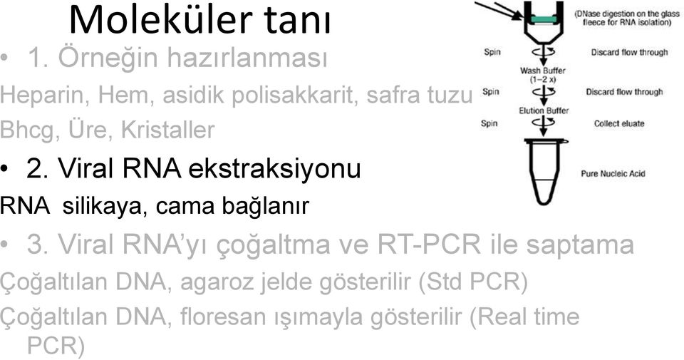 Kristaller 2. Viral RNA ekstraksiyonu RNA silikaya, cama bağlanır 3.