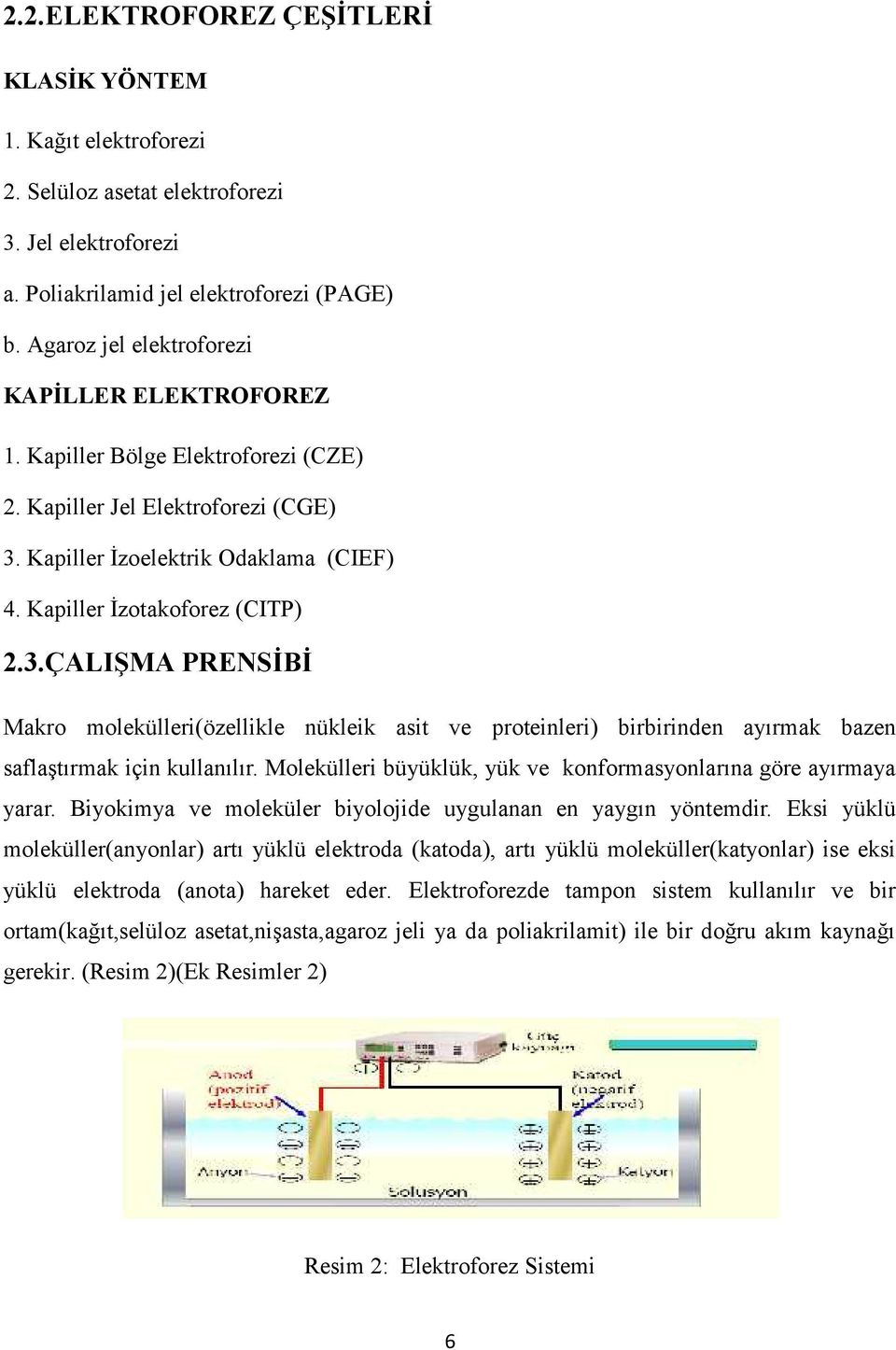 Kapiller İzoelektrik Odaklama (CIEF) 4. Kapiller İzotakoforez (CITP) 2.3.