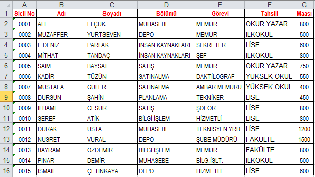 1. A ile G arasındaki tüm sütunları seçiniz. 2. Listeyi önce Bölüme sonrada Görevine göre (aynı anda )sıralayınız. 3. 3,5,7 nolu satırları seçiniz yazı rengini kırmızı yapınız. 4.