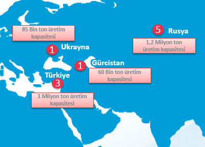 Cam Ambalaj Kapasite Dağılımı 4 farklı ülkede, 10 üretim hattı ile birlikte toplamda 2,3 Milyon ton cam ambalaj üretim kapasitesi.