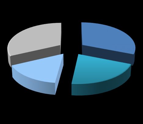 Segmentler - Homojen Satış ve FAVÖK katılımları 2013 III. Çeyrek Satışlar(%) 27% 25% 2013 III.