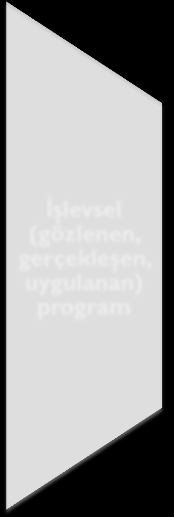 Posner`in Eğitim Programı Sınıflaması Resmi (kuramsal, açık, yazılı) program İşlevsel (gözlenen, gerçekleşen,