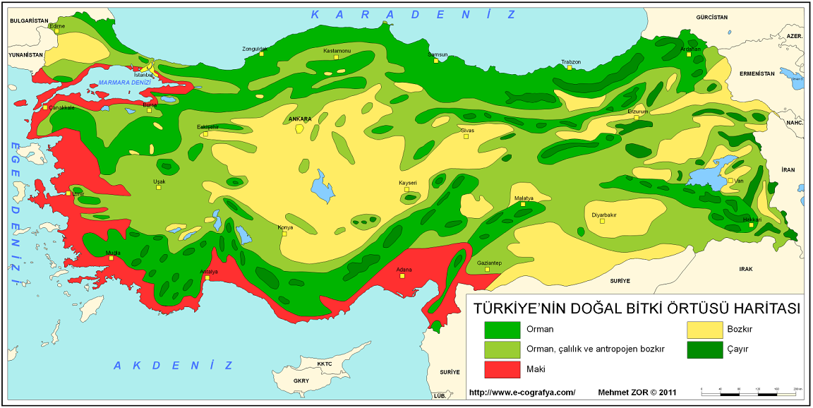 TÜRKİYE DOĞAL