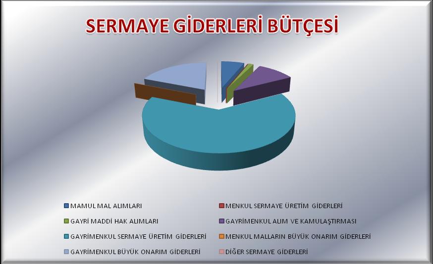 Tablo 11: Sermaye Giderleri 2010 Yılı