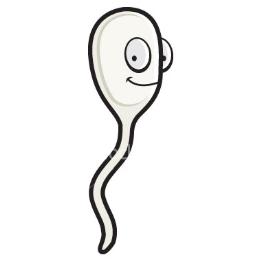 Sperm DNA Hasarı ve ICSI Ejakulatta sperm Testiküler sperm DNA Hasarı %23.6 % 4.8 Fertilizasyon %70.8 %74.9 Gebelik % 5.6 %44.