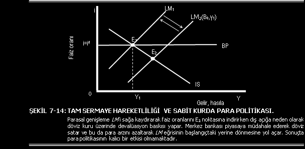 Tam Sermaye Hareketliliğinde