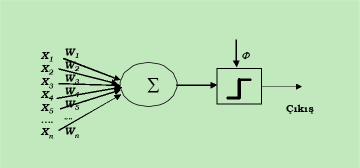 Perceptron Perceptronlar, son derece sınırlı olmalarına karşın en eski sinir ağlarından biridir.