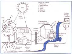 ANTRENMAN BĐLGĐSĐ ENERJĐ SĐSTEMLERĐ ENERJİ: İş yapabilme yeteneği Kimyasal enerji Isı enerjisi Işık enerjisi Mekanik enerji Elektrik enerjisi Nükleer enerji *Her enerji formu bir diğerine dönüşebilir