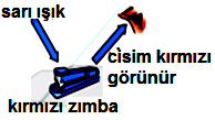 Beyaz renkli cisimler üzerine düşen bütün renk ışıkları yansıttığı için beyaz görünürler.örneğin, beyaz gül üzerine gelen beyaz ışığın bütün renklerini yansıttığı için beyaz görünür.