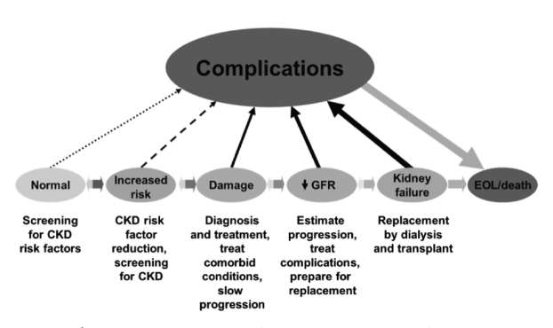Conceptual model of CKD.