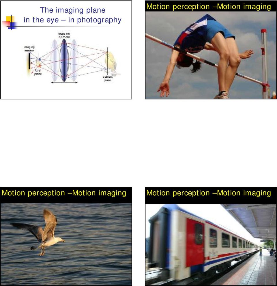 Motion imaging Motion perception