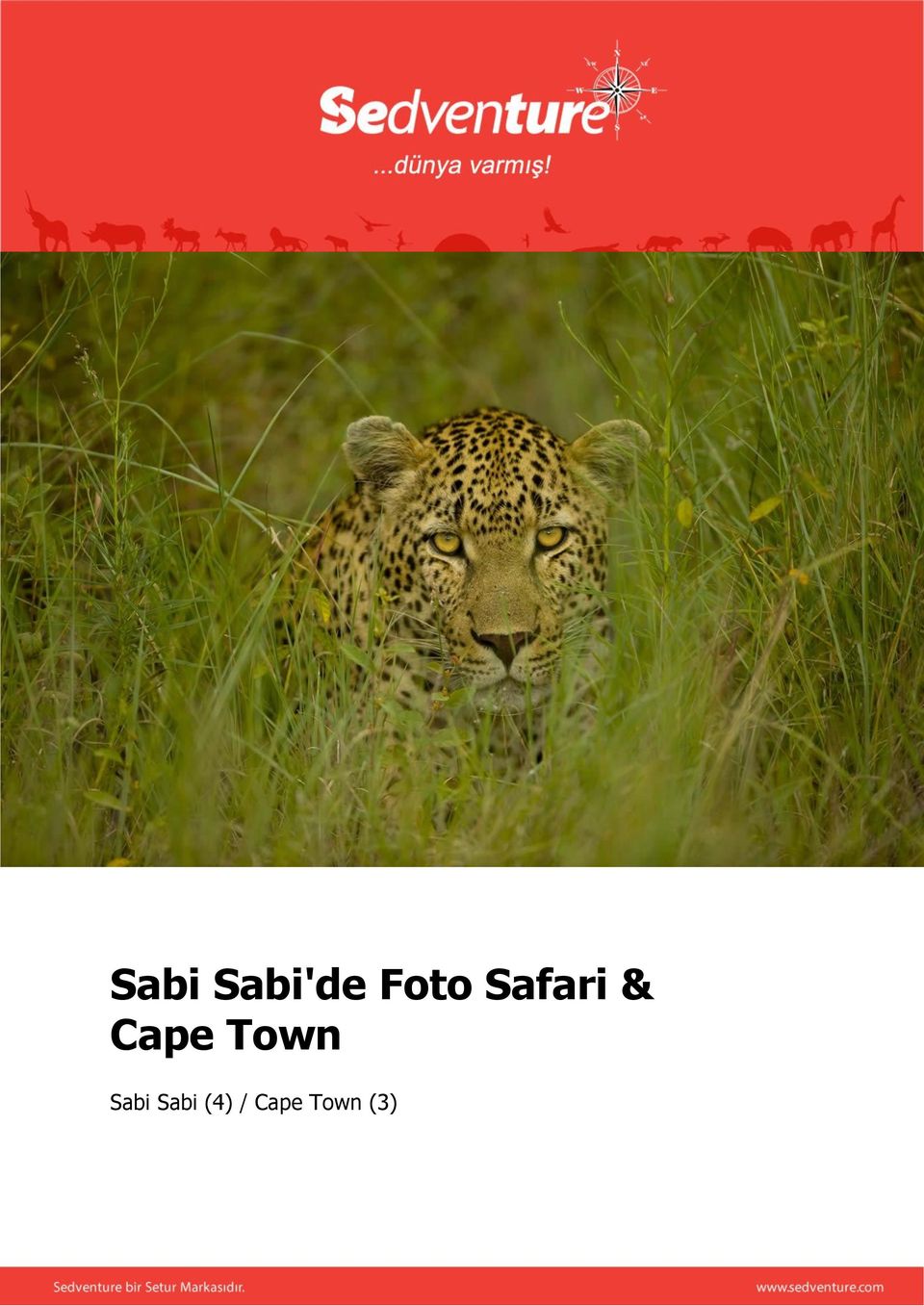 Cape Town Sabi