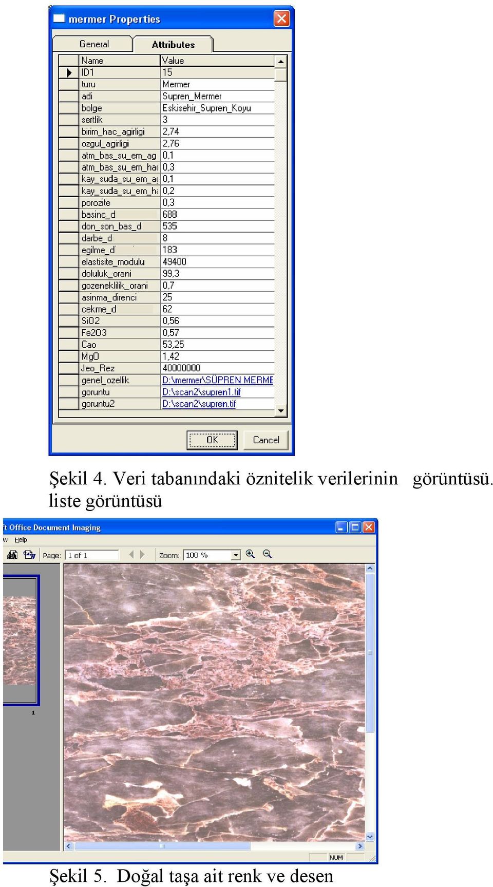 verilerinin görüntüsü.