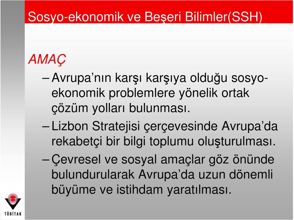 Lizbon Stratejisi çerçevesinde Avrupa da rekabetçi bir bilgi toplumu oluşturulması.