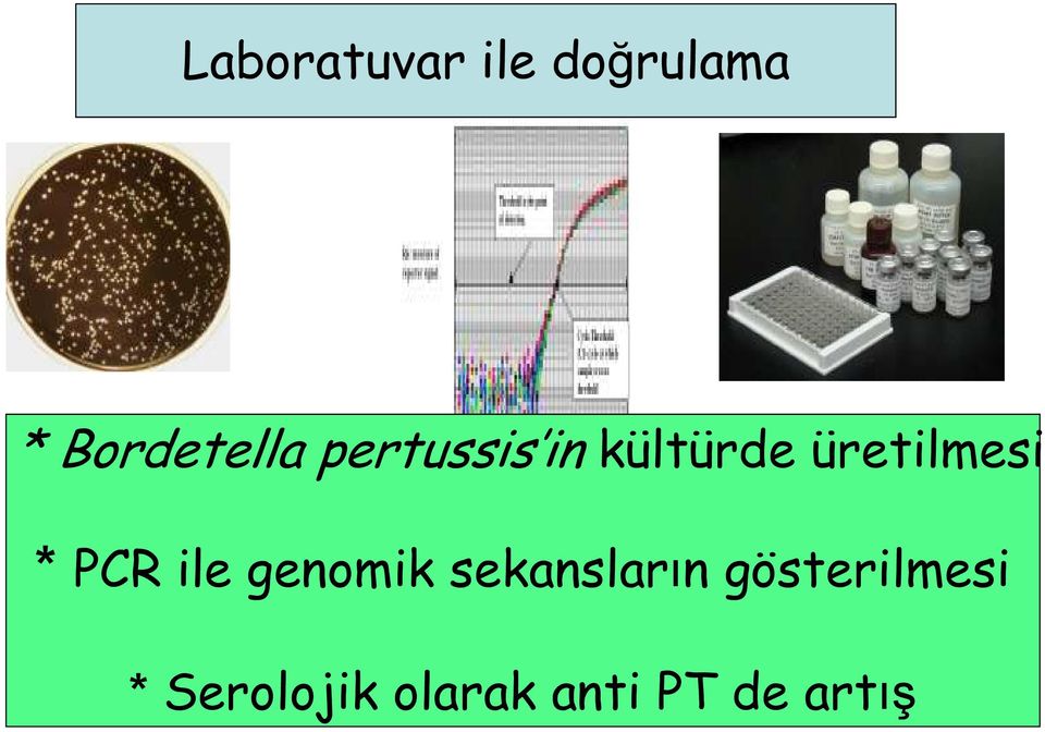 üretilmesi * PCR ile genomik