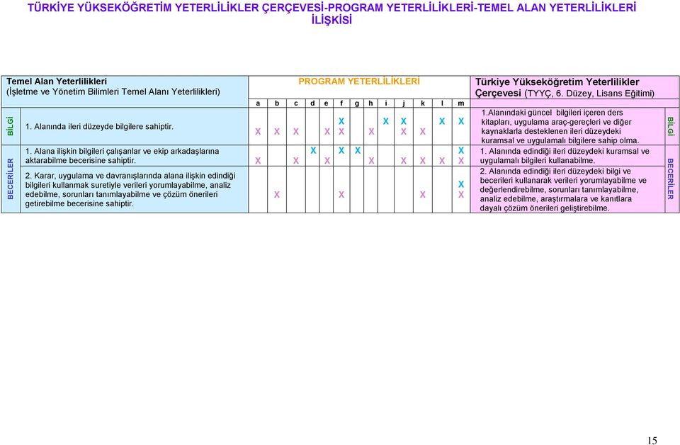 Karar, uygulama ve davranışlarında alana ilişkin edindiği bilgileri kullanmak suretiyle verileri yorumlayabilme, analiz edebilme, sorunları tanımlayabilme ve çözüm önerileri getirebilme becerisine