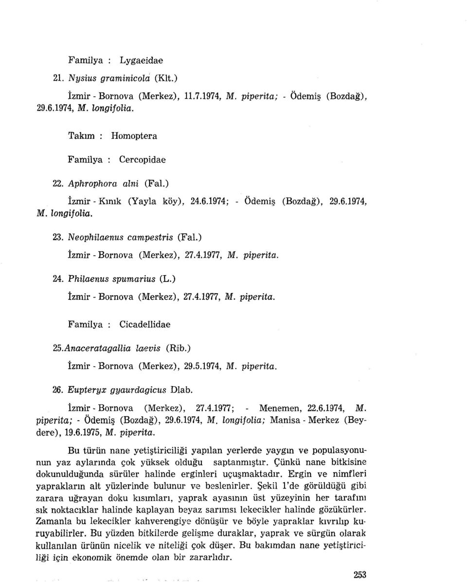 ) İzmir - Bornova (Merkez), 27.4.1977, M. piperita. Cicadellidae 25.Anaceratagalliakıevis (Rib.) İzmir - Bornova (Merkez), 29.5.1974, M. piperita. 26. Eupteryx gyaurdagieus Dlab.