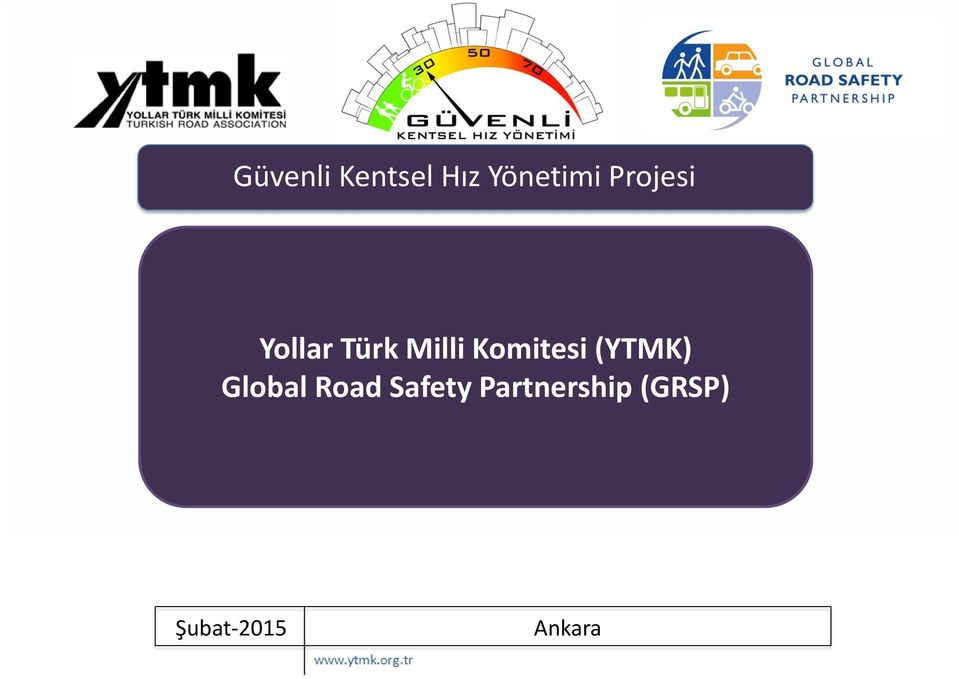 Türk Milli Komitesi (YTMK)