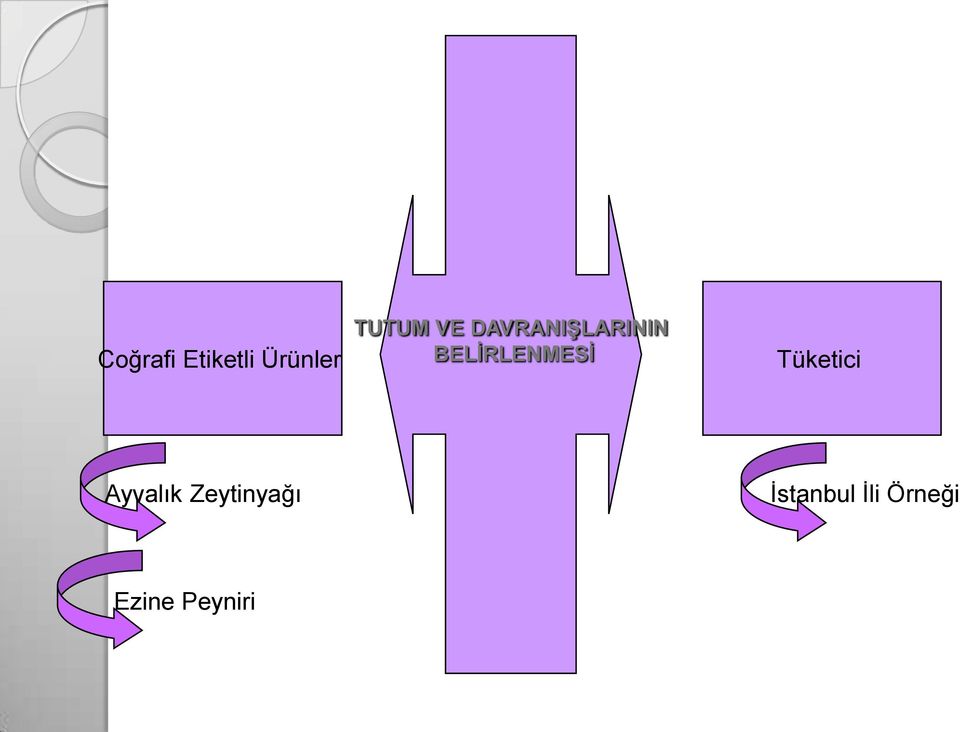 BELİRLENMESİ Tüketici Ayvalık