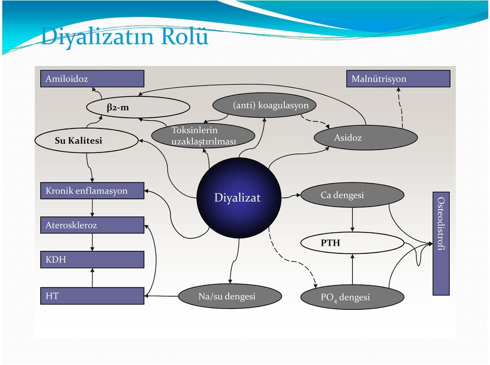 Asidoz Kronik enflamasyon Ateroskleroz Diyalizat Ca