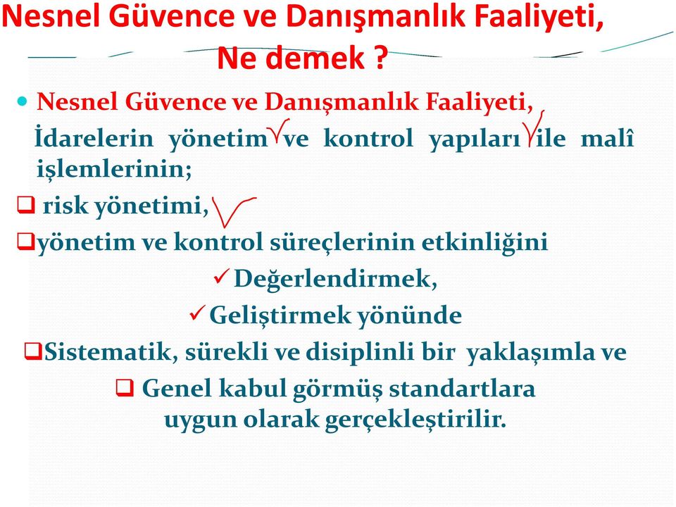 işlemlerinin; risk yönetimi, yönetim ve kontrol süreçlerinin etkinliğini Değerlendirmek,