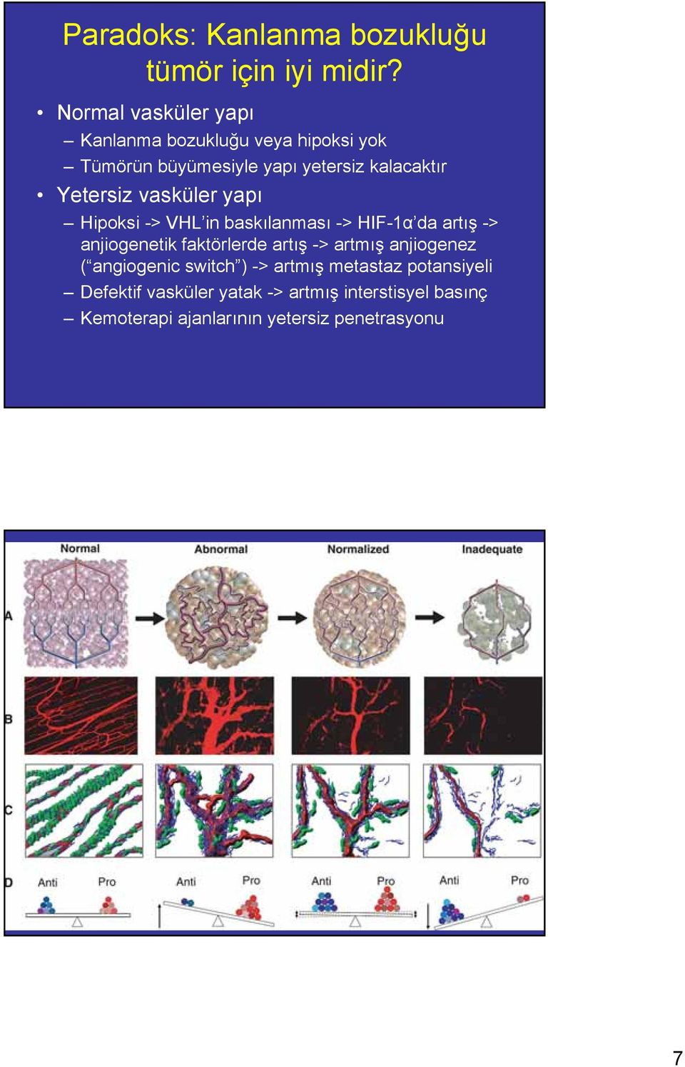 Yetersiz vasküler yapı Hipoksi -> VHL in baskılanması -> HIF-1α da artış -> anjiogenetik faktörlerde artış